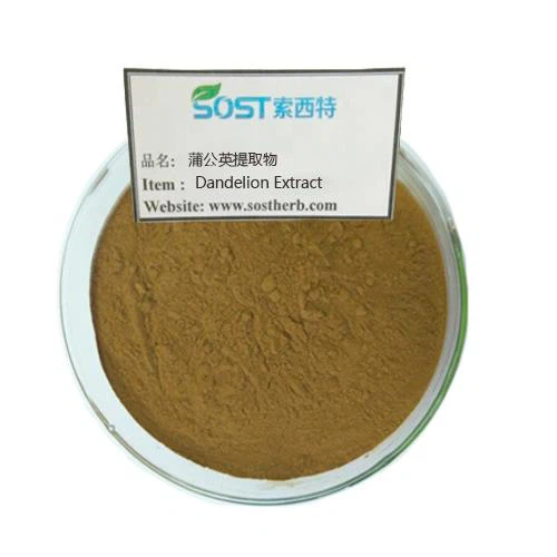 Dandelion Extract Powder