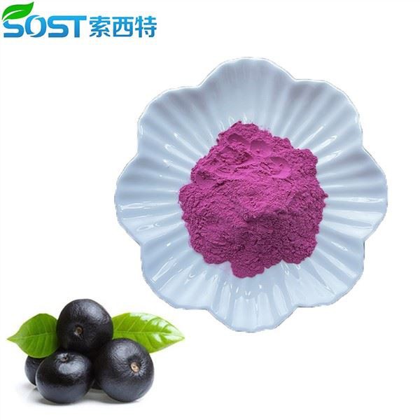 Sok Acai w proszku